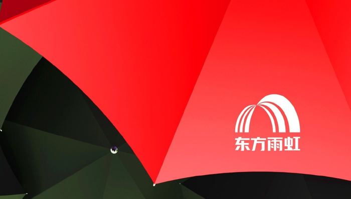 东方雨虹,上市公司,业绩,李卫国