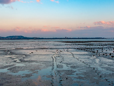 A股,梓橦宫,832566.BJ