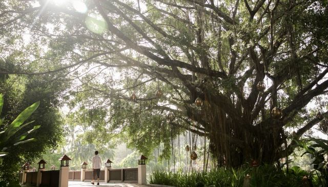 悦榕集团中国区推出多款养修体验项目，带领宾客探求自我、联结他人、亲近自然