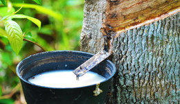 橡胶领域迎来整合，“中国神胶”逐渐成型，意义何在？