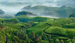 最近风很大的生态农业，究竟是什么？