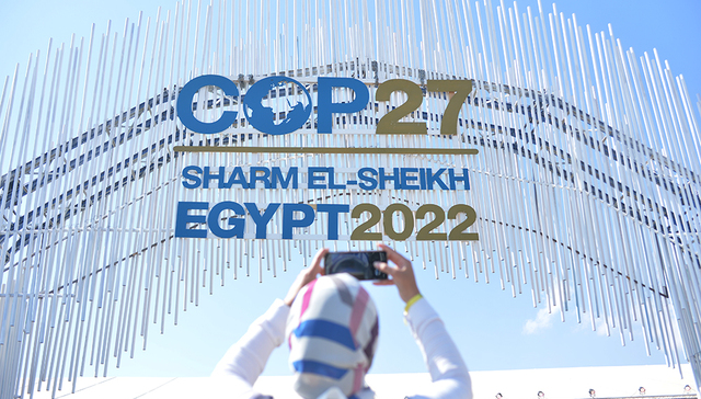 【现场】2022联合国气候变化大会上的中国面孔