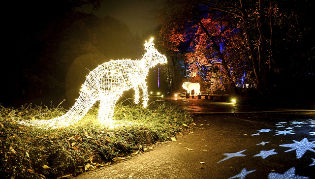 每周奇趣掠影 | 莎翁生前唯一一幅有签名的画作即将出售；委内瑞拉选美小姐尽展曼妙身姿