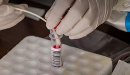 石家莊昨日新增感染者641例，多區(qū)啟動(dòng)5天全員核酸篩查