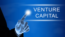 美妆巨头下场做VC