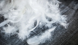 羽絨服市場格局劇變：小商戶虧本甩賣，大品牌銷量破億