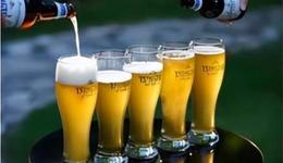 啤酒企业进军白酒，能否带来新的增长？