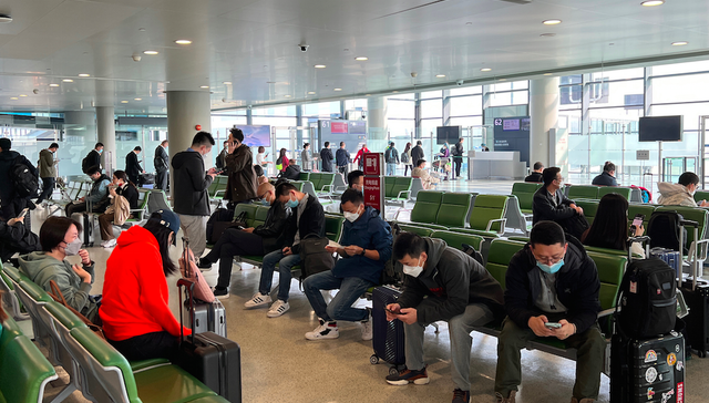 防疫政策,经济活动,旅游,观影,