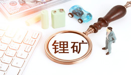 铁矿石龙头大中矿业一个月跨界涉锂360亿，钱从哪来？