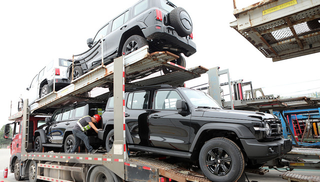 长城汽车出海，巴西新能源汽车市场
