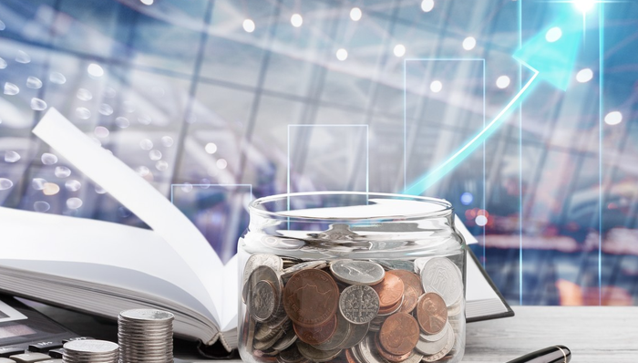 狮头股份,自有资金,股权