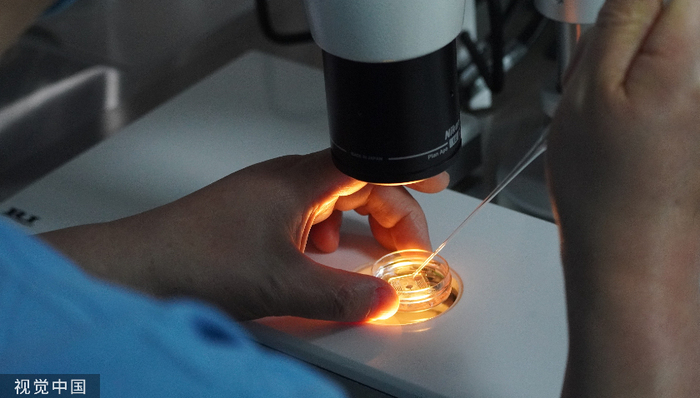 辅助生殖在杭州可报销？实际为商保项目