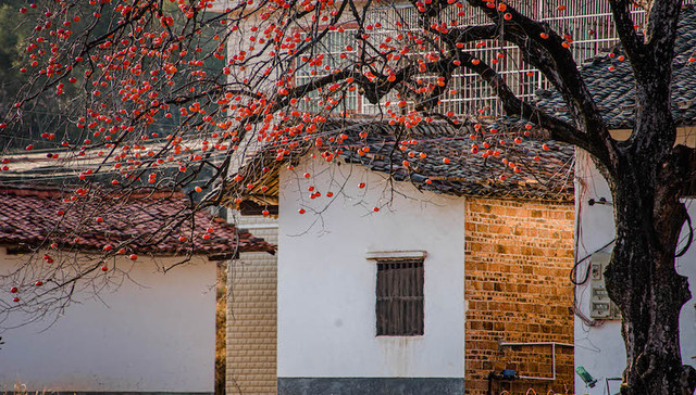 为乡村文旅融入创新基因，成为我们新的向往 ｜2022界面旅行向往指南乡村振兴篇