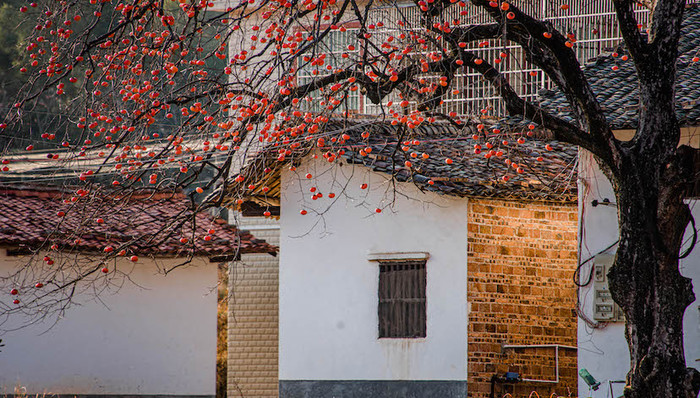 为乡村文旅融入创新基因，成为我们新的向往 ｜2022界面旅行向往指南乡村振兴篇