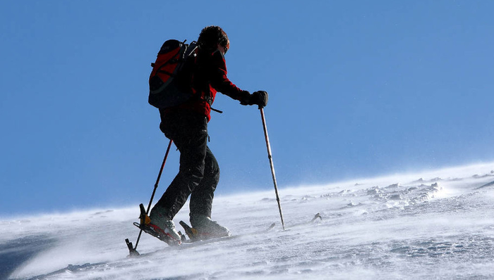 会稽山,601579.SH,控股股东