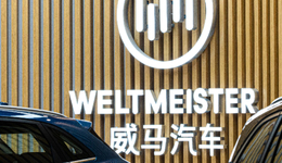 沈晖的“傲慢” 与威马汽车的“妥协”