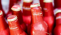 疯狂世界杯，“下酒”才是“搞钱”潜力股