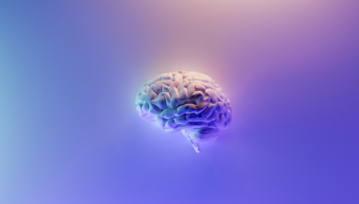 人机交互,脑机接口,马斯克,