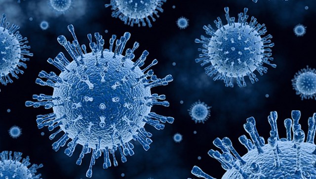 北大研究：奥密克戎免疫逃逸能力更强，感染后重症和死亡风险较低