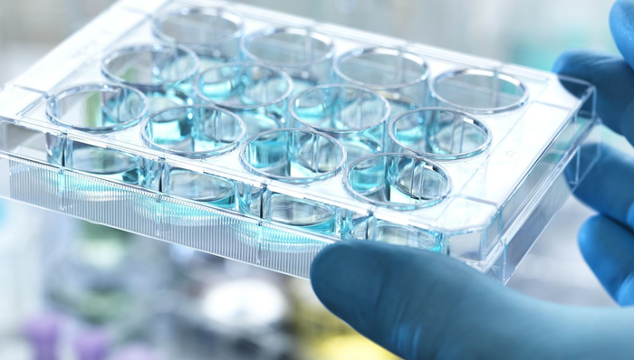 翰森制药,肺癌,上市