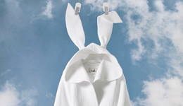 “nabi們”割韭菜，只能一時爽