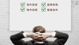 卢浮集团化身锦江“双刃剑”：本土酒店出海再思考