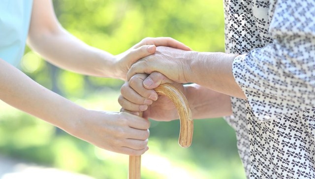 地方新闻精选 | 北京发布养老志愿服务工作指引 阿勒泰70余万牲畜完成转场