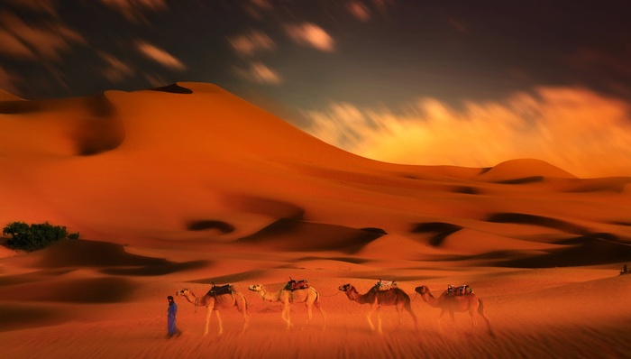 孤独星球,文化,旅游,互联网,停刊