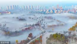 陸銘：促進人口自由流動暢通國內(nèi)大循環(huán)，或是化解地方債務風險最優(yōu)解