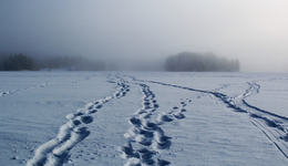歐洲科技業(yè)寒氣逼人：市值蒸發(fā)近3萬億元，今年僅3起新增IPO