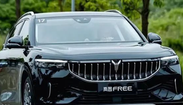 新能源車發(fā)展步入平穩(wěn)階段，嵐圖如何開啟藍(lán)圖