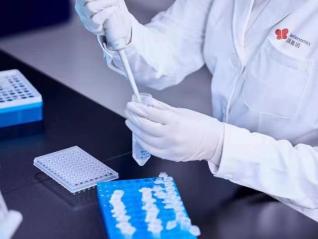 国产设备“逆袭”欧盟市场，贝瑞基因CES产品加速出海