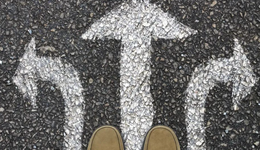 2023年，哪些品類將會優(yōu)先崛起？