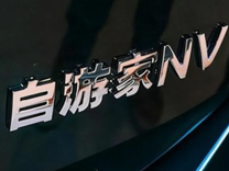 李一男梦碎自由家