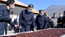 以務(wù)實協(xié)作、雙向賦能推動兩地高質(zhì)量發(fā)展！陳吉寧率上海市代表團赴云南深化對口協(xié)作