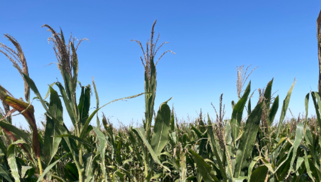 绿亨科技在北交所上市，产能利用率相较同业公司仍偏低