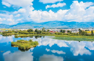 国际能源机构,生态文明,国际社会,保护自然,生态治理,生态安全,生态保护,保护生态,全球领先,生态修