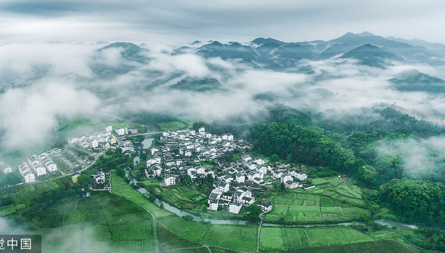 【专访】左学金：畅通城乡要素流动，中央和地方要分工合作