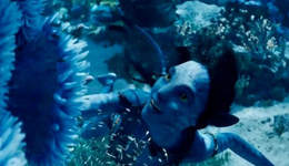 《阿凡达2》预测票房25亿：影院年末“救世主”来了？