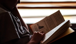 幾萬元加盟的小說代理平臺，瓜分網(wǎng)文市場一大“利器”？