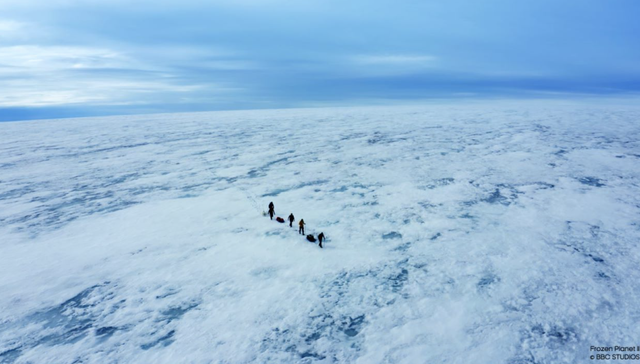 跨越11年回归的《冰冻星球II》有哪些新看点？