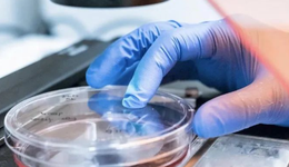 阿凡達(dá)2上映，3D技術(shù)除了電影還能這樣用？