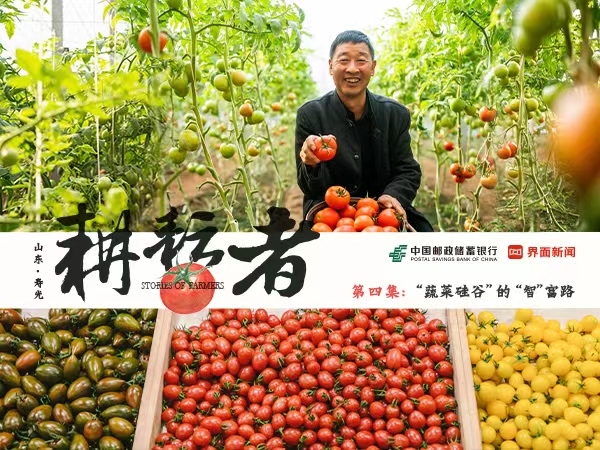 邮储银行推进信用村建设，助力“中国蔬菜之乡”发展