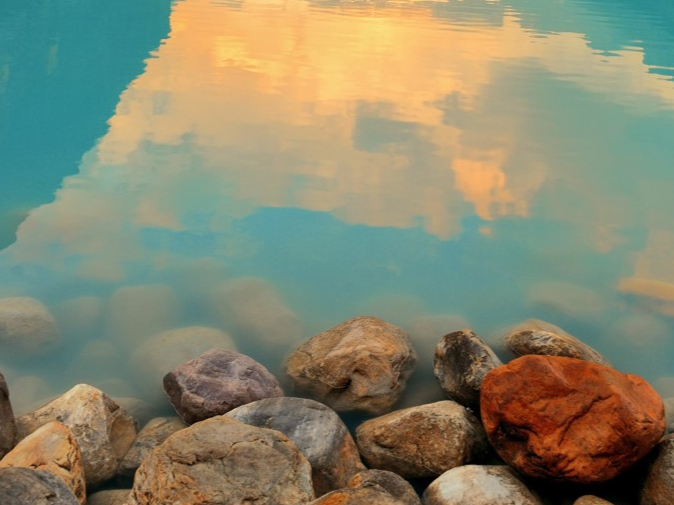 金鹰股份,控股股东,质押