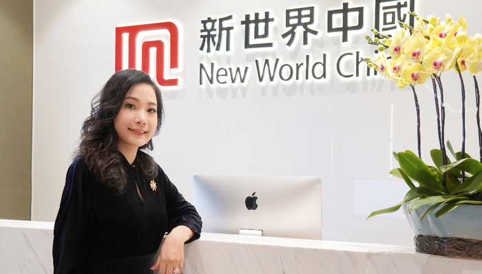 新世界地产,业绩