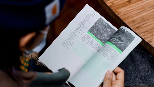 蘑菇与鸟都是艺术家，“最初500米”用行动重建附近 | 深港双年展