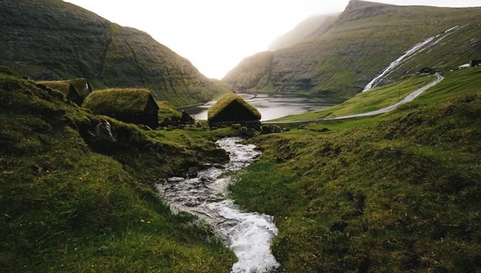 书单,外国文学,生育