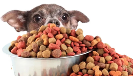 國(guó)產(chǎn)寵糧品牌崛起，但上市的都是代工廠(chǎng)？