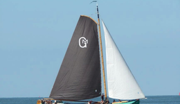 “新国货”海外淘金热：各显神通