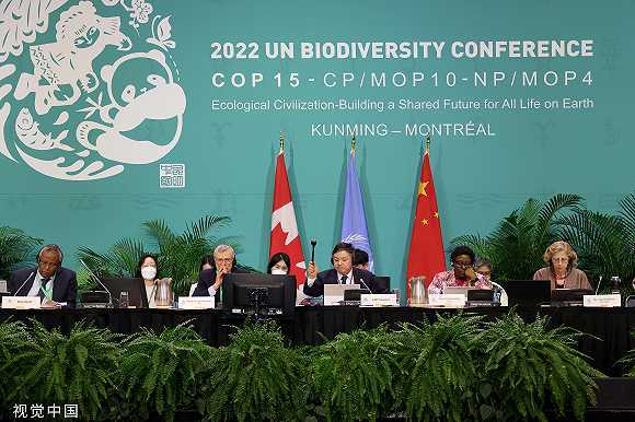 世界经济论坛胡悦：昆明—蒙特利尔协议达成，生物多样性为何如此重要？